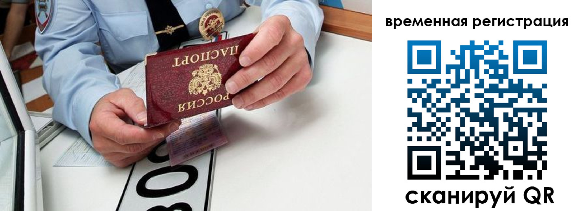 прописка гарантия в Брянске
